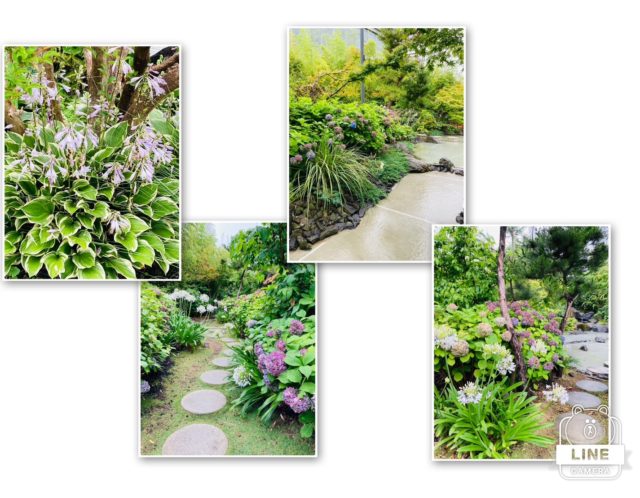 6/21(水)転換期・夏至