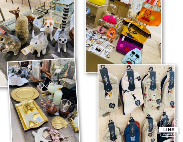 ファミリー鑑定