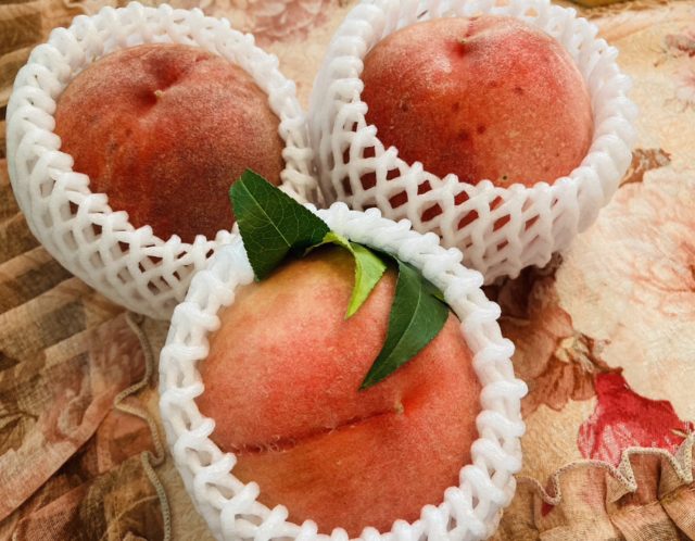 8/1(火)朔日参りへ