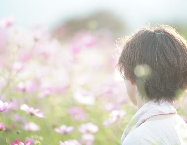 コスモス満開💕✨