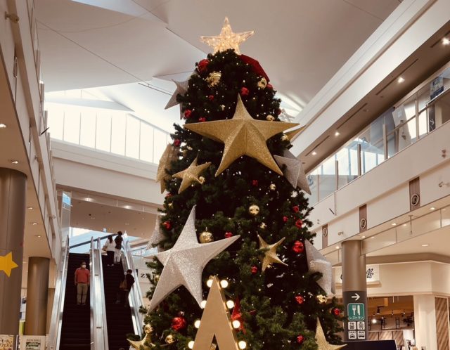 11月スタートしましたね🗓️💕✨