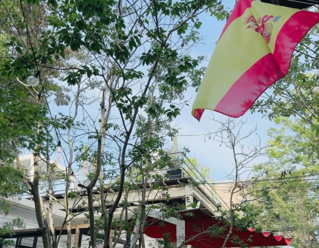 【スターゲートが開きます🪐🚪‼】