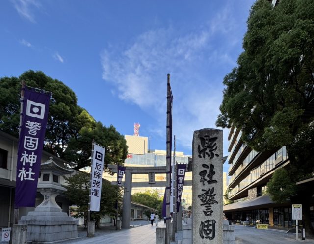 龍と思考の先生🌹✨還暦爆誕祭🐉🪭💐✨